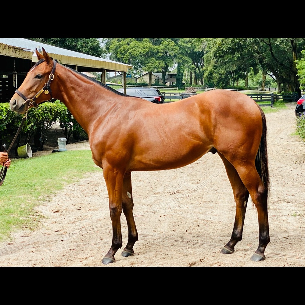 Meet your Posher, Summer